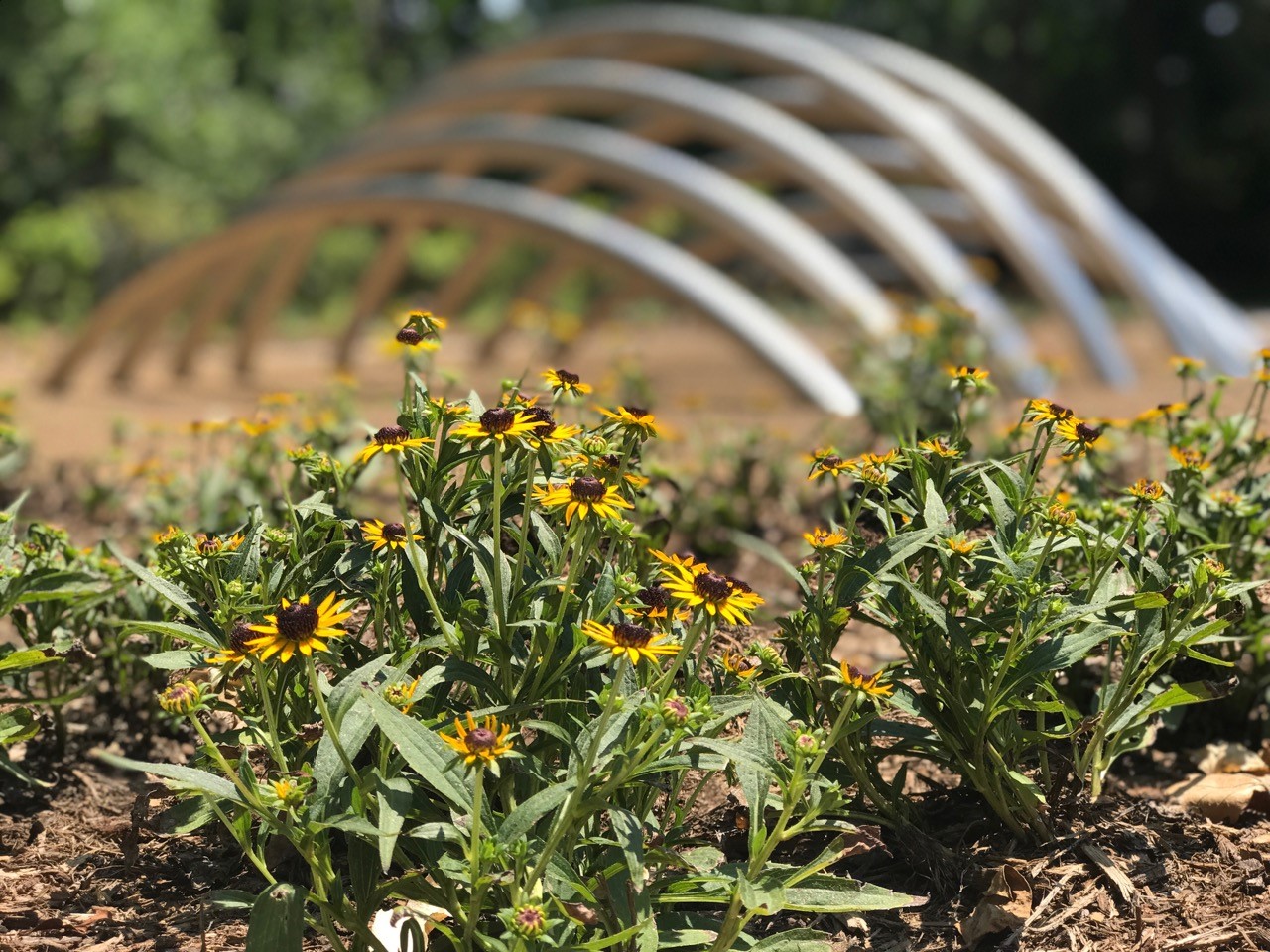 New butterfly garden, pavilion, sculpture and walking paths ready to enjoy in Minturn Park!